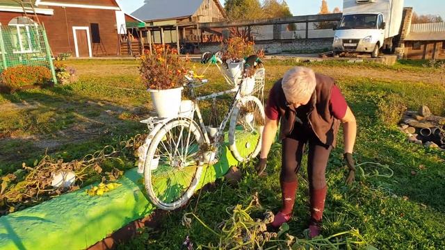 Деревенская жизнь Истоптал поросёнок, а не петух Часть 2 смотреть онлайн