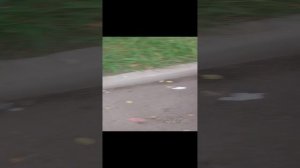 мазда 6 гг 2005