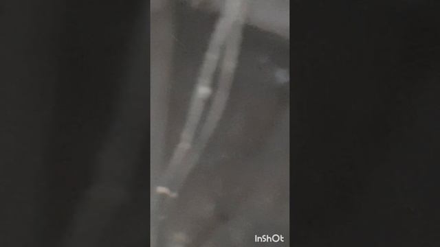 ПроНеобычное.0,5кг меди в стене.Серия3.mp4