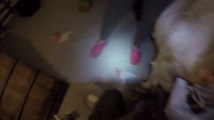 Выпадение матки у козы / prolapse of the uterus in a goat