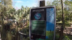 Діаспора | Зоопарк в США | Гуляємо зоопарком в Тампі