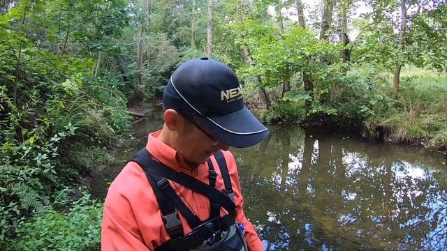 ГОЛАВЛЬ НА СПИННИНГ НА МИКРОРЕЧКЕ | С удочкой по Чехии | Рыбалка на голавля смотреть онлайн