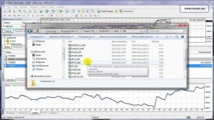 Cоветник (робот) для MetaTrader 4 "Система Черепах"