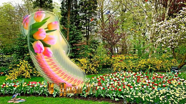 ФотоШоу PRO!!! Проекты ФотоШоу PRO! Проект 110 С Днём Рождения!!! Волшебная Тюльпановая сказка!!! смотреть онлайн