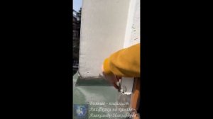 Лайфхак. Грибок в доме