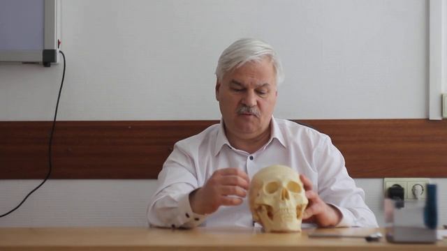 Шум в ушах причины смотреть онлайн