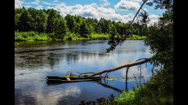 Река беларуси фото