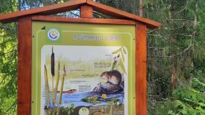 Восхитительная природа Керженского заповедника Нижегородской области🌲Экотропа Пойма Керженца🌳Россия