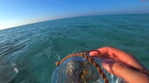 Выживание на необитаемом острове! 3-Часть/2 Сезон Ловушки из мусора на крабов, острага из ножика.