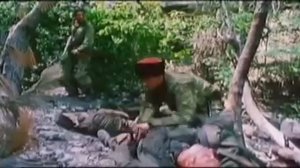 Казаки пластуны  video mail ru