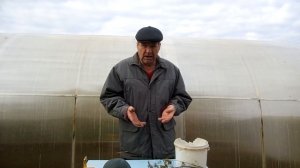 Приманка для куницы.