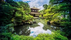 Актинидия ? Посадка и Уход? Сад и огород с Хитсад ТВ