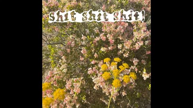 shit shit shit - станция лето (ремастер)