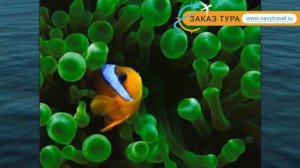 FORTUNA 4* HRG 4* Египет Хургада обзор – отель ФОРТУНА 4* ХРГ 4* Хургада видео обзор