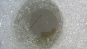 Ловля тюльки в приглядку.