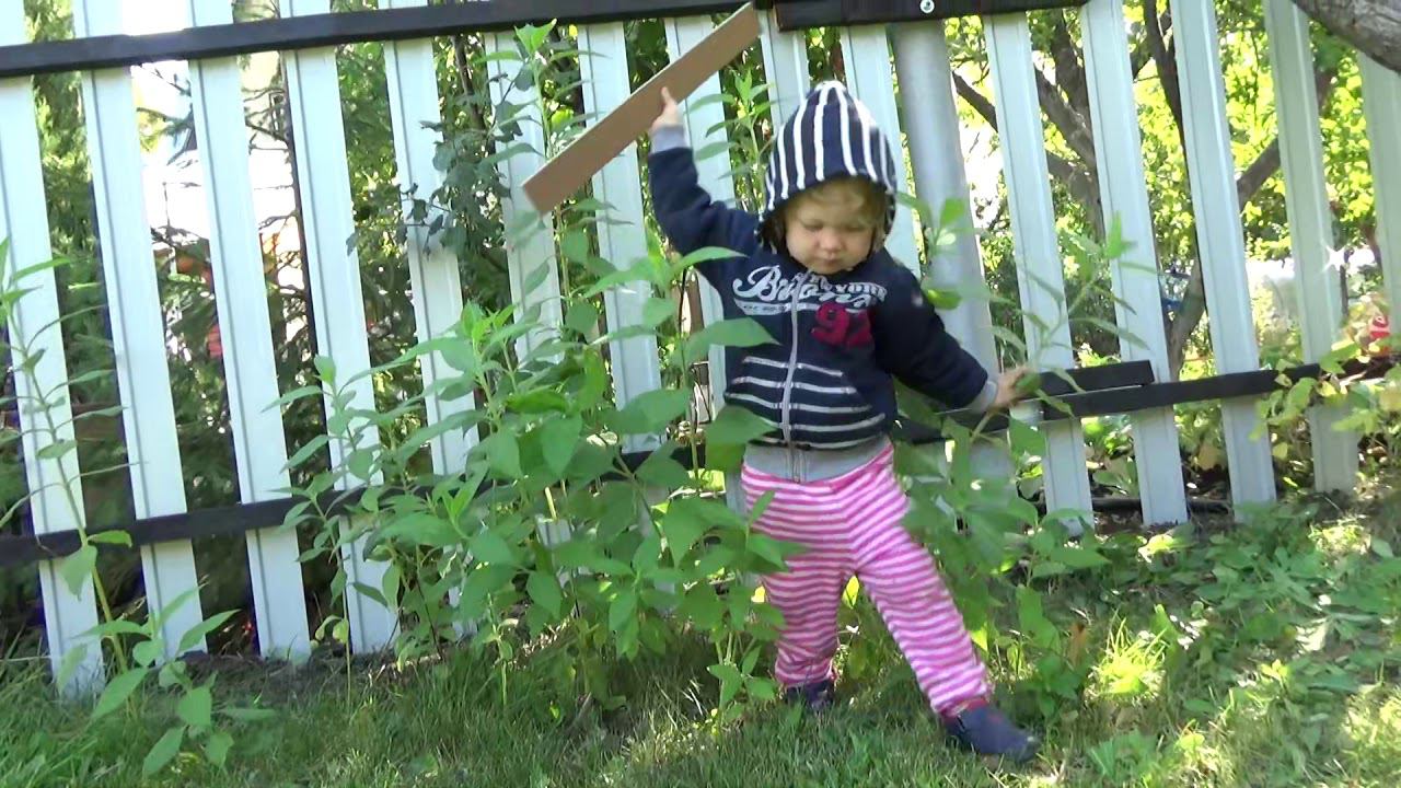 Art Manij VLOG Дима прячется + взвешиваем боярышник