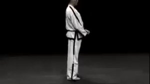 1 й туль Saju Jirugi Са джу джириги