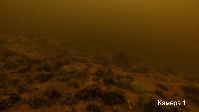 Подводная съемка на Суходольском озере смотреть онлайн