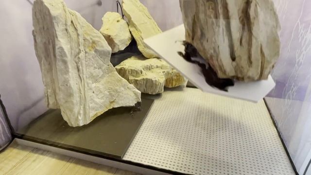 Аквариум, Логово Аксолотля! Акваскейп. Axolotl #Аквариум #Аксолотль смотреть онлайн