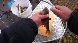 Как снять шкуру с окуня.