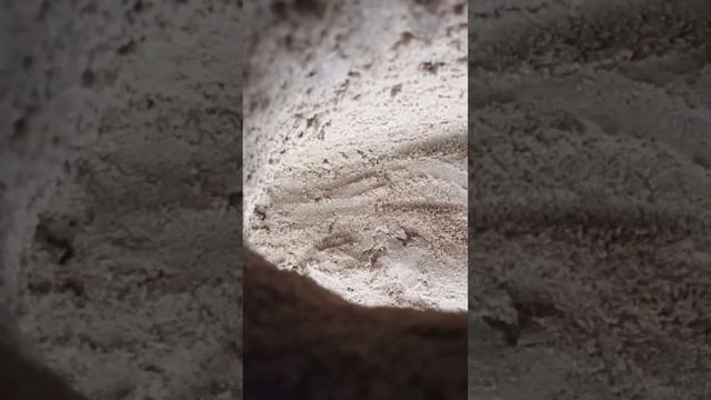 Вопрос к Мудрой пещере. смотреть онлайн