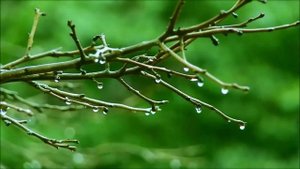 Евангелие от Матфея -Глава 19