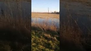 Дугино, Азовский район