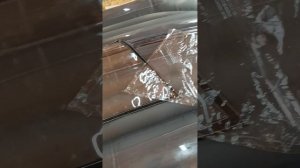 Окна в палатку.