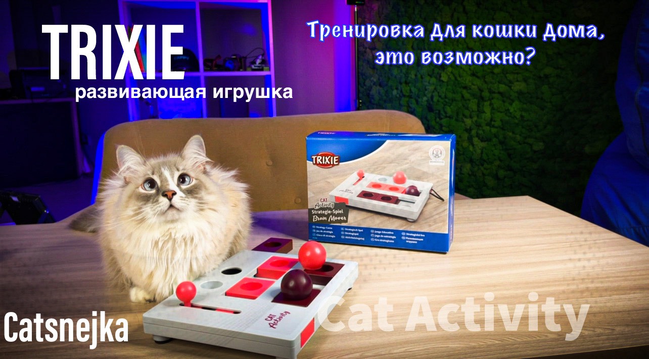 Обзор развивающей игрушки для кошек от TRIXIE  CAT ACTIVITY  "Brain Mover"