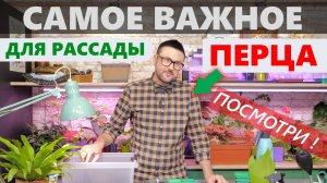 Выращиваем вкусный сладкий перец без химии! Блогеры за биопрепараты в своем огороде
