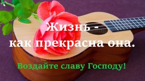 ,,Жизнь.,,  Brat Bruder.