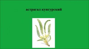 Международная Красная книга. Редчайшие растения. Часть 1