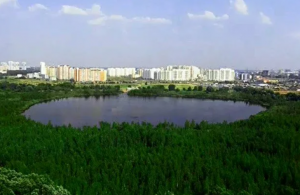 #Аврора #гадание Будет ли построена мечеть на Святом озере