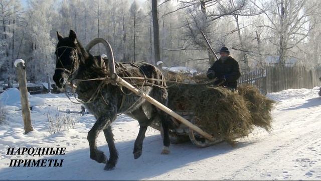 День Святителя Петра. Что нельзя пожелать родным в этот день?  Толкуем вещие сны в этот день!