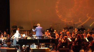 Вероника Махотина "Нас бьют мы летаем"