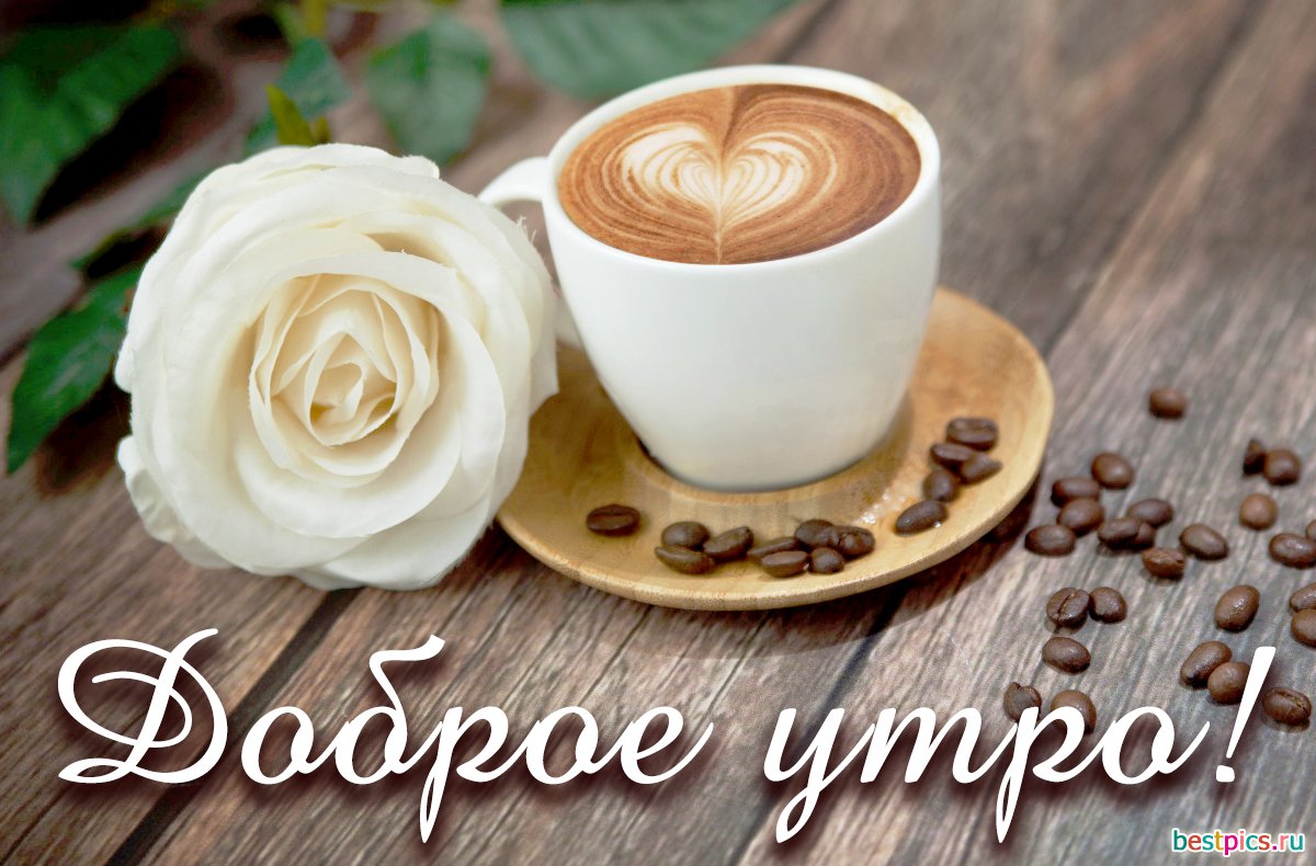 Оригинальное Пожелание для ВАС!!! Доброго Утра и Отличного Настроения!