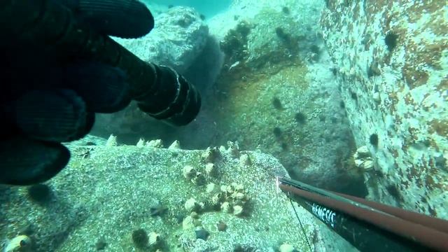 Поиски темного