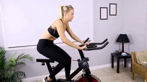 Lifespan SP-310 Spin Bike