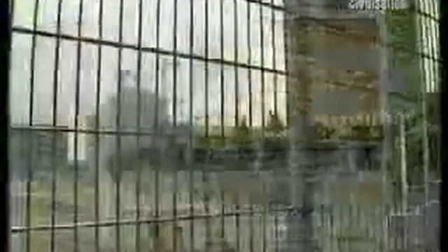 Мнение евреев о том, стоит ли сохранять Führerbunker.WMV смотреть онлайн