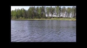 КФХ Заречье   С чего всё начиналось