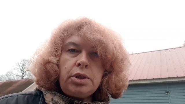 Восстановление сада. Часть вторая #2 Спасаем растение. Барбарис ТУМБЕРГА. Что с расписанием? смотреть онлайн