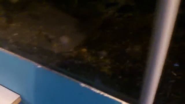 Как самому сделать слив в аквариуме смотреть онлайн