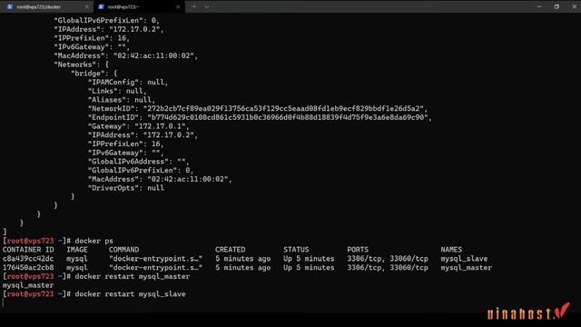 VinaHost.vn | Giới Thiệu MySQL Database Replication Trên Docker смотреть онлайн