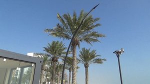 Отдых в Бахрейне. Пляж Marassi