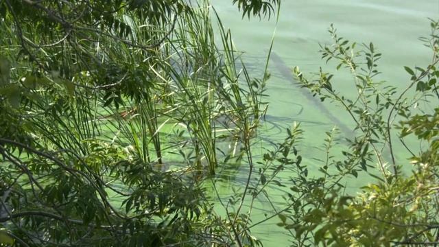 ЛОС заплатят огромный штраф смотреть онлайн