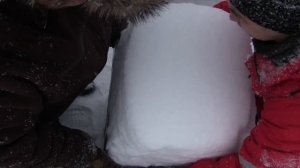 3 видео 3 часть обзора работ с пчёлами зимой . Моё пчеловождение .