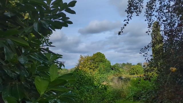 Осенняя болталка в полях?? #Марина Нова смотреть онлайн