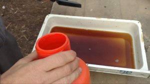 Полынь против клеща Варроа/Varroa destructor. Как я борюсь с клещем на пасеке