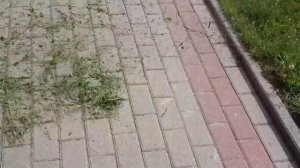 Husqvarna 530BT spalinowa lekka plecakowa dmuchawa do liści 1,3KM