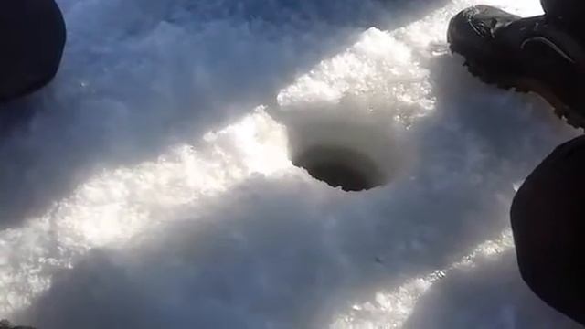 РЫБАЛКА В КАРКАРАЛИНСКЕ! ПОЙМАЛ ЩУКУ НА 5 КГ. смотреть онлайн